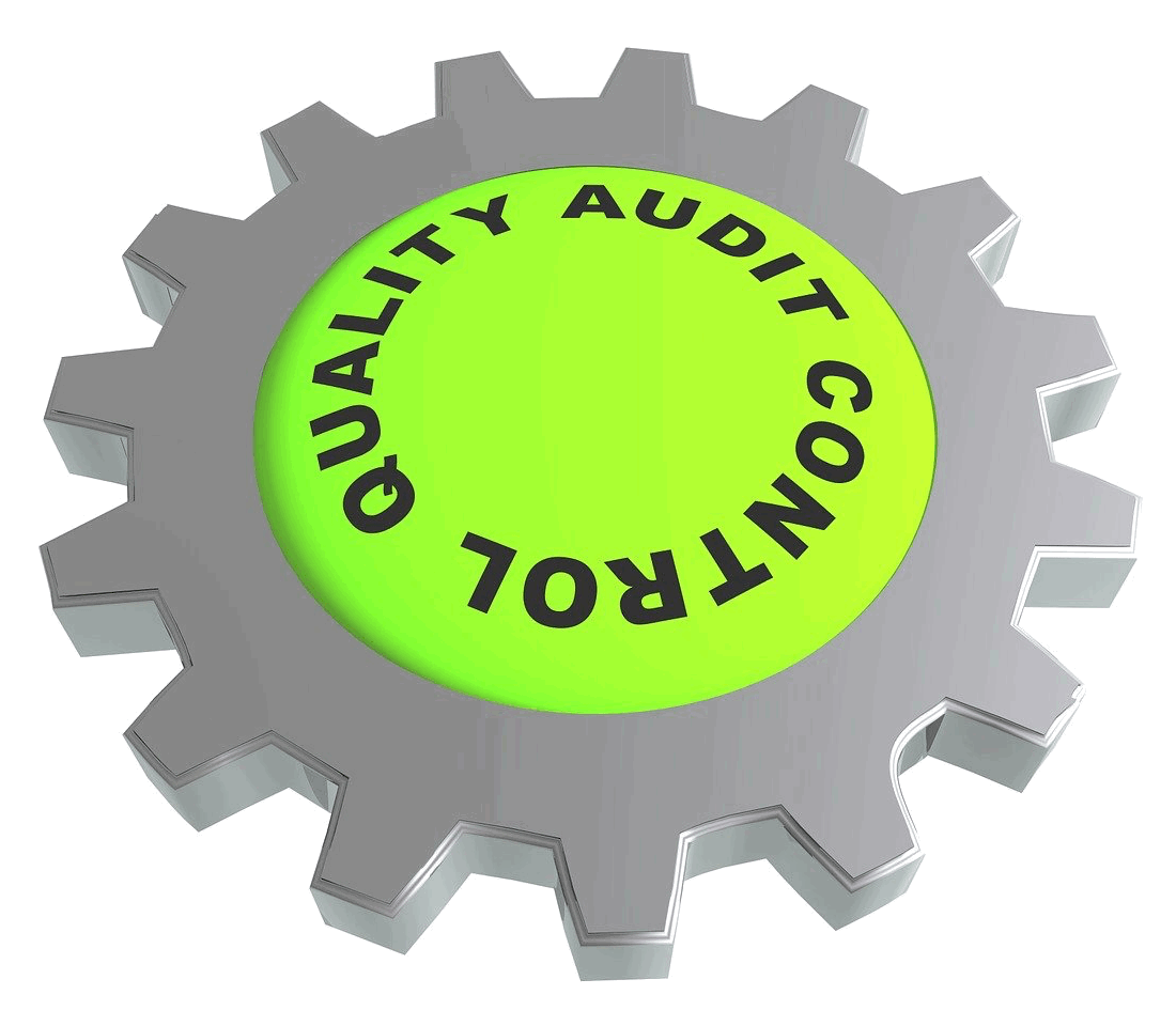Quality Audit Control gear icon